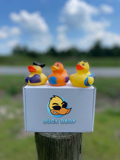 The Duck Drop Box