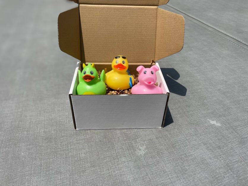 The Duck Drop Box